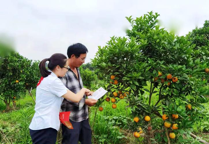 品質(zhì)卓越亭林月餅帶你重溫傳統(tǒng)中秋文化
