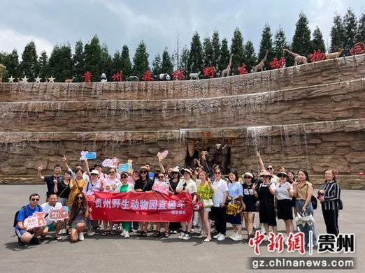 亭林饅頭的獨(dú)特口感為什么吸引了上海食客