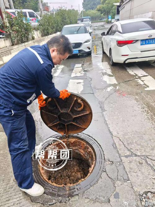 亭林野鴨種群的繁殖周期與環境因素的相互作用