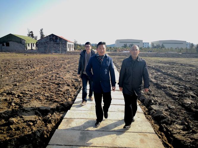亭林饅頭在現代市場中傳承與創新的結合之道