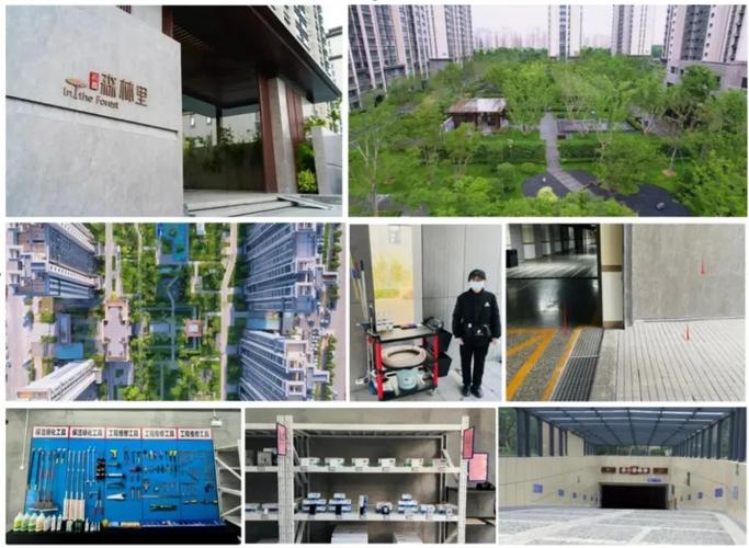 深入分析亭林野鴨棲息地保護的成效與挑戰