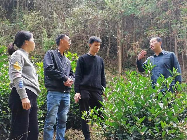 細品亭林關爺餅勾起的是難忘的鄉愁與家鄉情